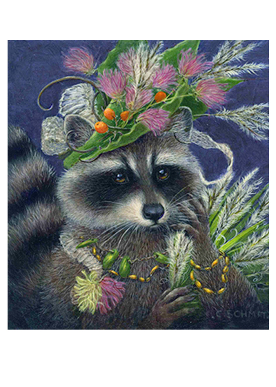 Racoon Evening